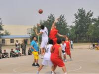 上海玄鸟VS香港金牛分析推荐2025-2026赛季NBL联赛第3场焦点战：中国香港金牛战胜上海玄鸟